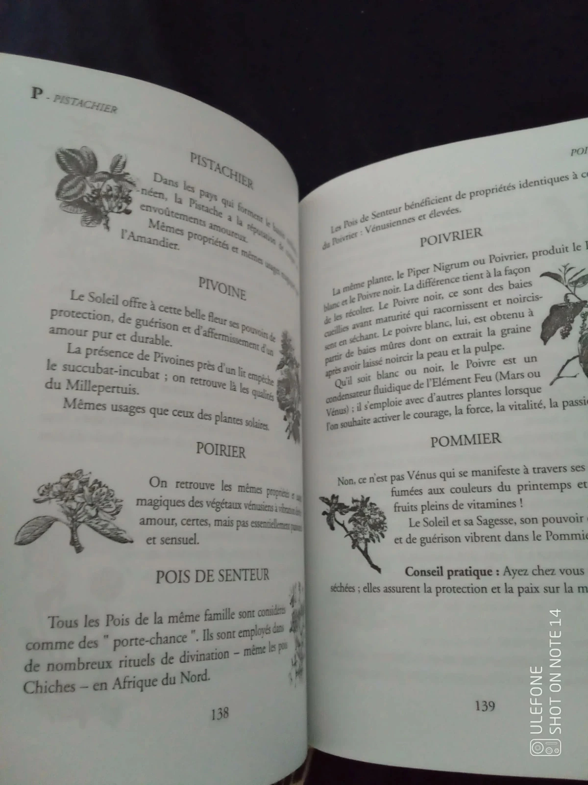 De l'usage des herbes poudres et encens en magie – photo 11